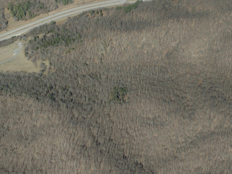 Turkey Bay trail oblique looking N
